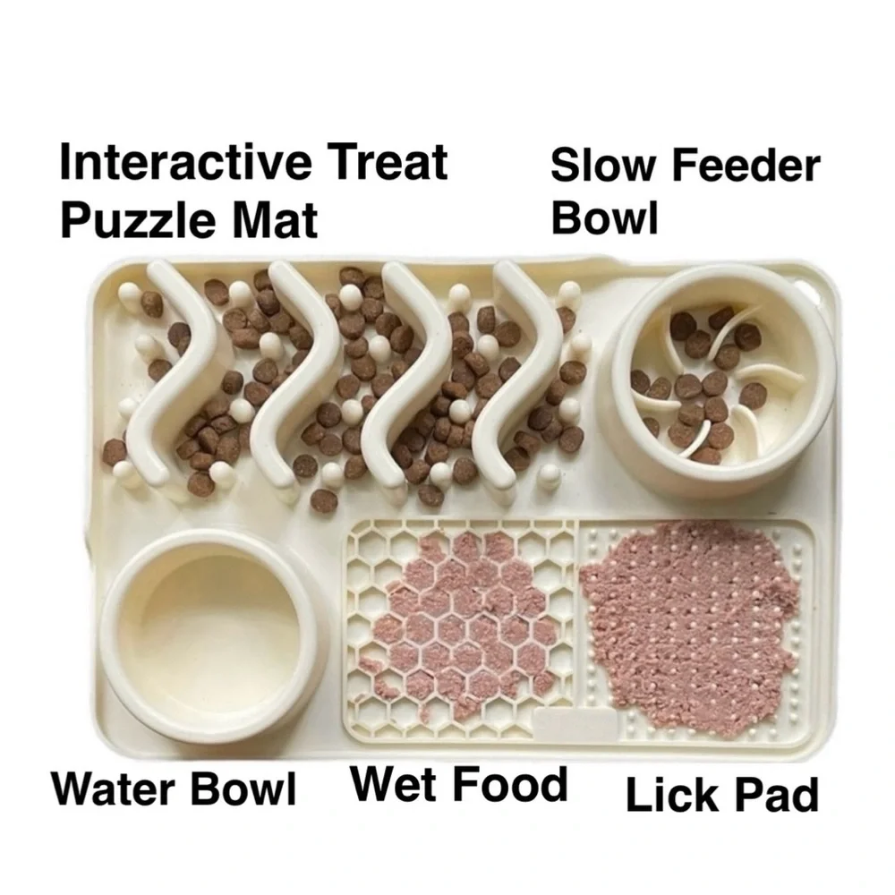 Slow Feeder Bowl Water Bowl Licking Mat for Dog Cats Food Mat Anxiety Relief